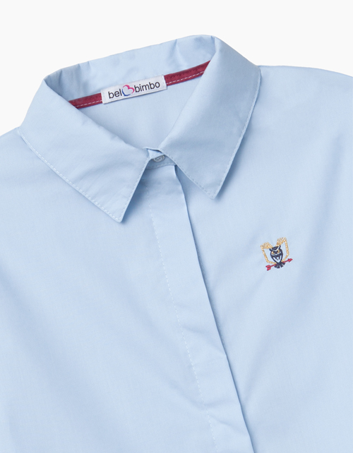 Купить голубую блузку с удлиненной спинкой