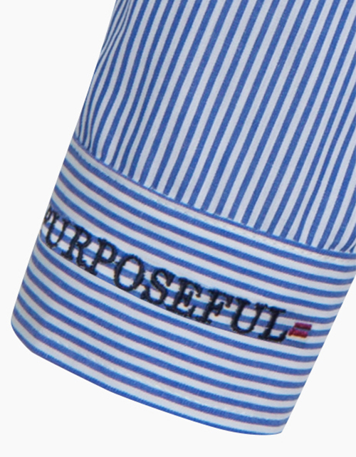 Рубашка в бело-голубую полоску Рубашка в бело-голубую полоску