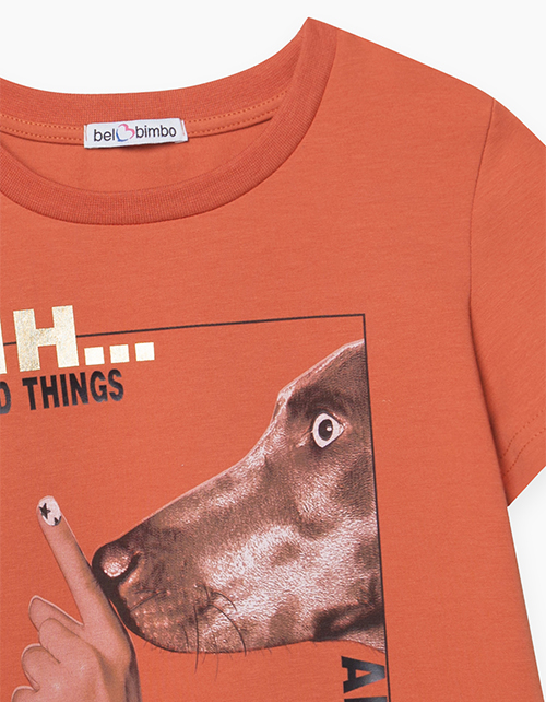 Терракотовая футболка для девочки
