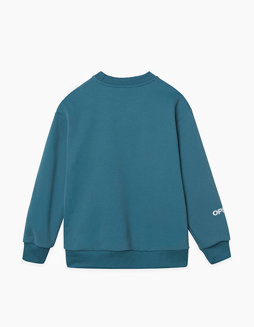 Темно-бирюзовый свитшот для мальчика Темно-бирюзовый свитшот для мальчика