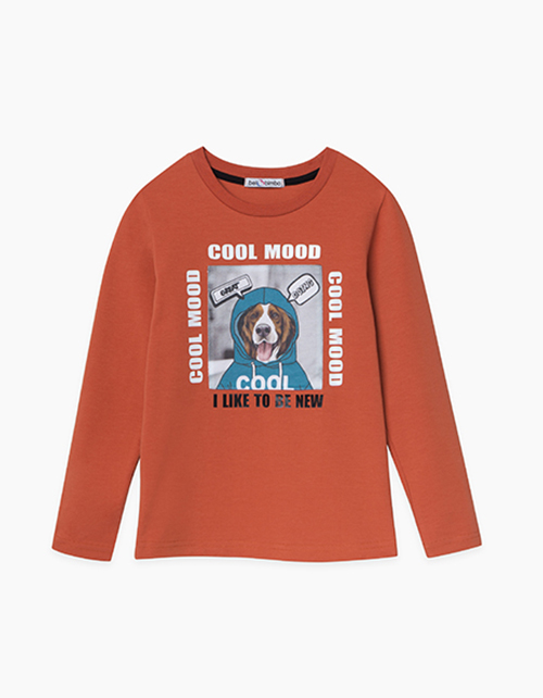 Терракотовый лонгслив с принтом для мальчика