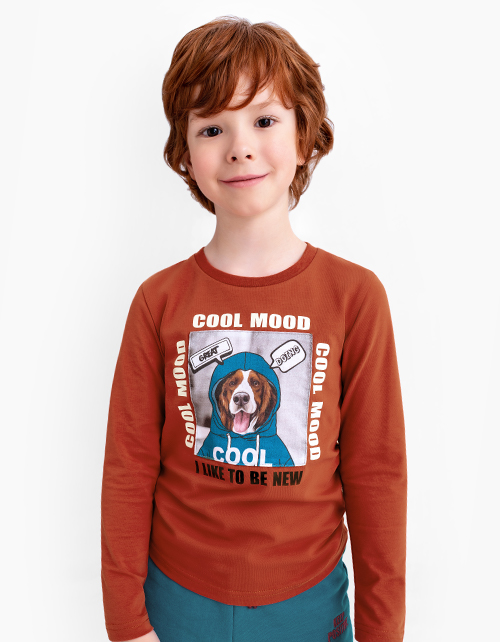 Терракотовый лонгслив с принтом для мальчика
