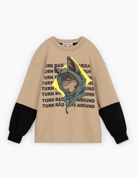 Дизайнерский свитшот для мальчика