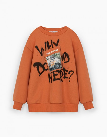 Яркий свитшот для мальчика