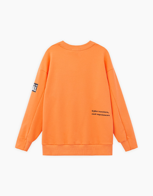 Свитшот для мальчика Свитшот для мальчика