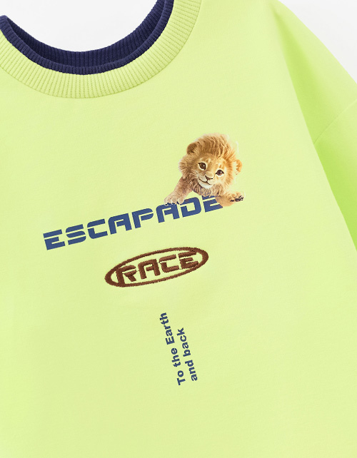 Свитшот лайм для мальчика Свитшот лайм для мальчика