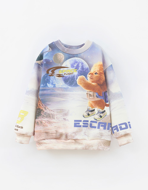 Свитшот для мальчика